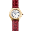 Cougar Anniversary Limited Edition 26mm