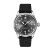Pilot's Watch Mark XX Patrouille Suisse Titanium Grey Dial 40mm