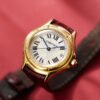 Cougar Anniversary Limited Edition 26mm - Image 2